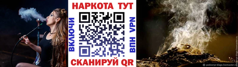 Конопля Унеча