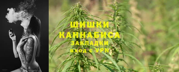 соль ск Гусиноозёрск