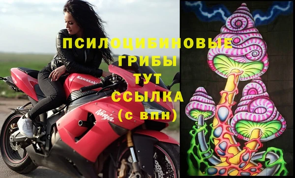 твердый Гусь-Хрустальный
