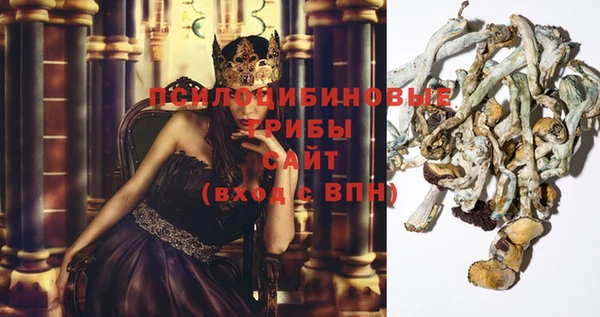 трава Гусев