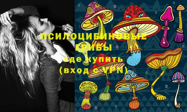 трава Гусев
