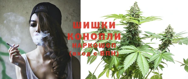 твердый Гусь-Хрустальный
