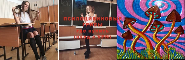 трава Гусев