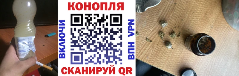 Купить где  Унеча  Канабис семена 